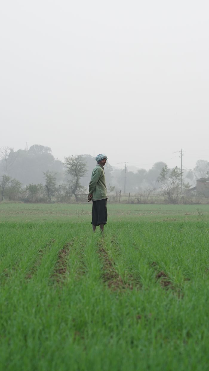 A lone farmer stands in a lush green field, showcasing traditional agriculture methods.